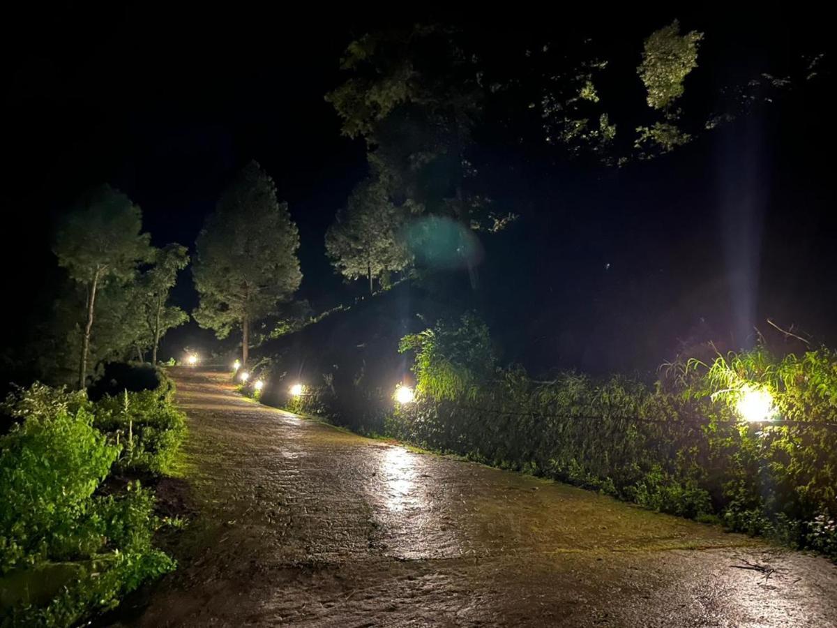 Mountain View Resort Nainital Exteriör bild